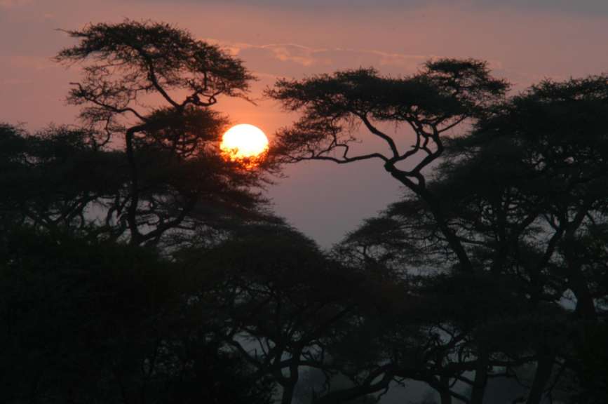 Sonnenaufgang im Tarangire