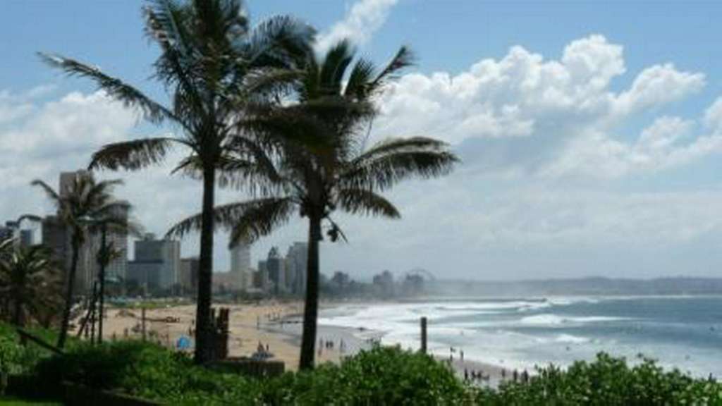 Ein Strand mit Palmen und einer Stadt im Hintergrund .