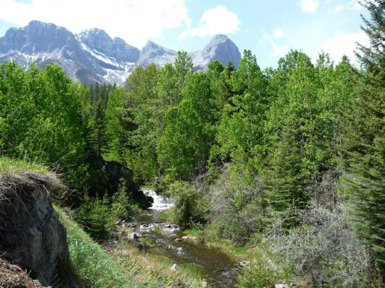 Ausblick hinter Hidden Falls