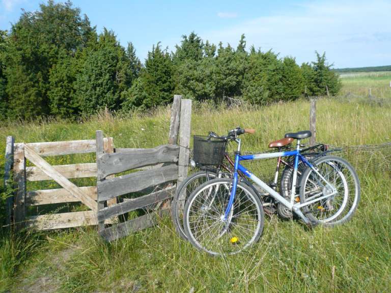 Zwei Fahrräder stehen neben einem Holzzaun in einem Feld