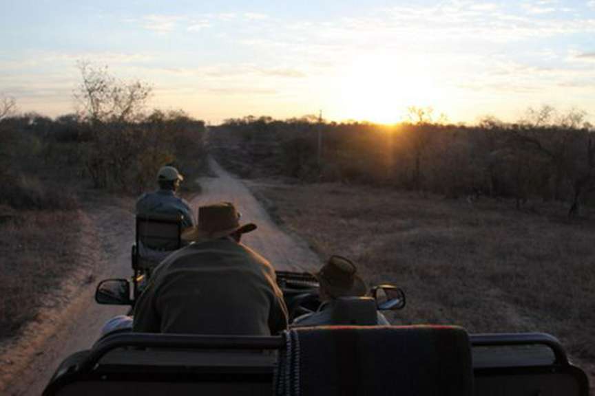 Game Drive Sabi Sand