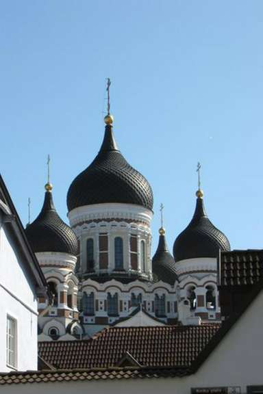 Eine orthodoxe Kirche mit schwarzen Kuppeln und goldenen Kreuzen .