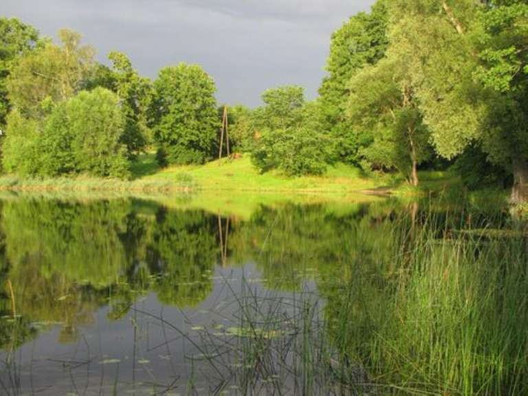 Ein See mit Bäumen, die sich im Wasser spiegeln .