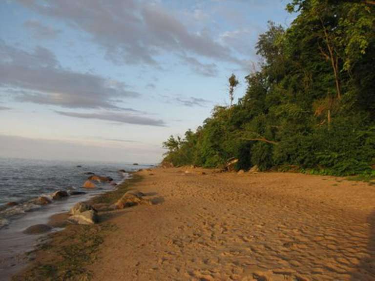 Ein sandiger Strand mit Bäumen und Felsen an der Küste .