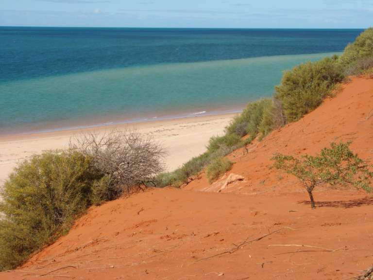 Nationalpark bei Denham und Monkey Mia