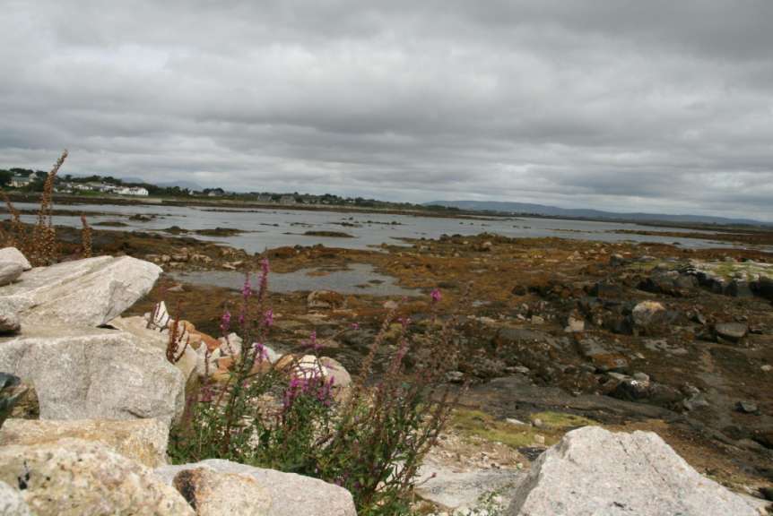 Dingle