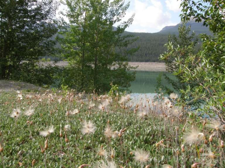 In den Rockies