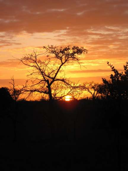 Ein Sonnenuntergang mit einem Baum im Vordergrund
