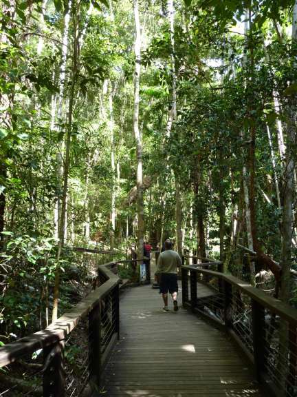 Fraser Island