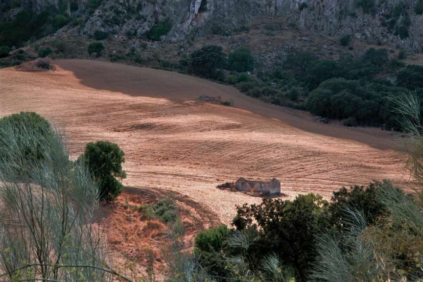 Landschaft bei Ronda
