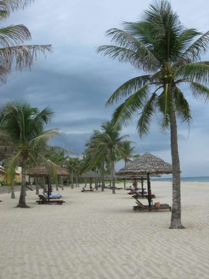 Ein Strand mit Palmen und Sonnenschirmen an einem bewölkten Tag