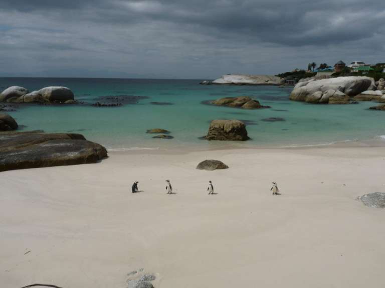 Boulders Beach