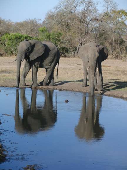 Sabie Sands