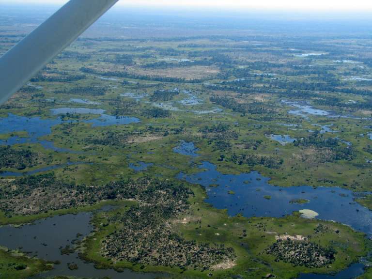 Okavano Delta