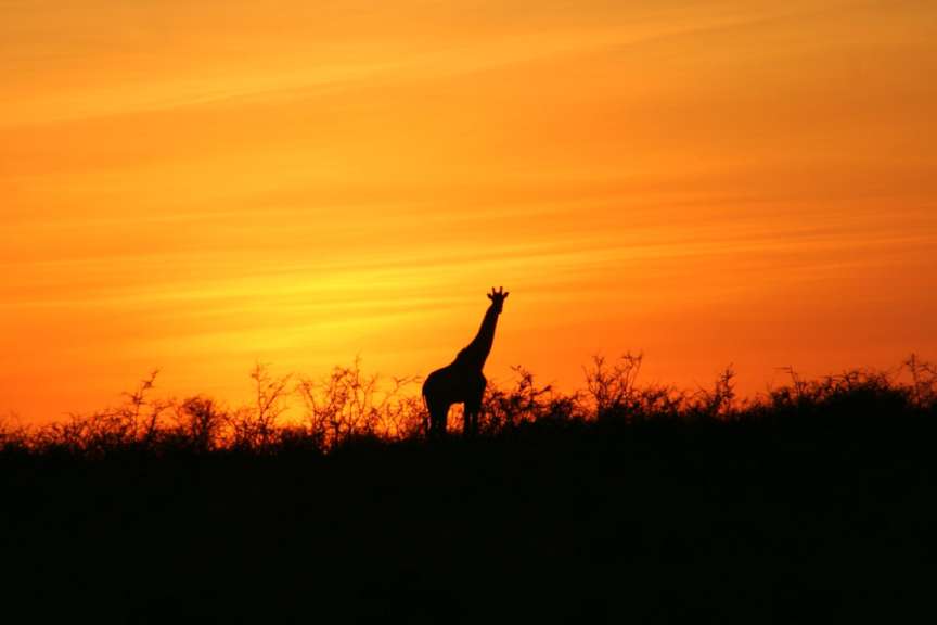 Etosha-Park