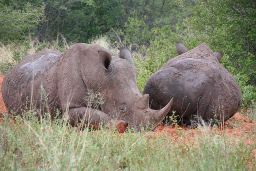 Waterberg