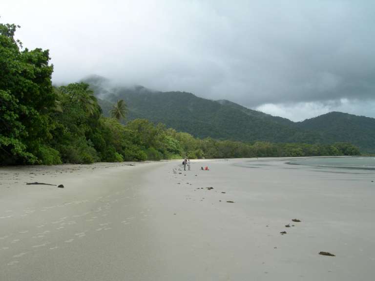 Cape Tribulation