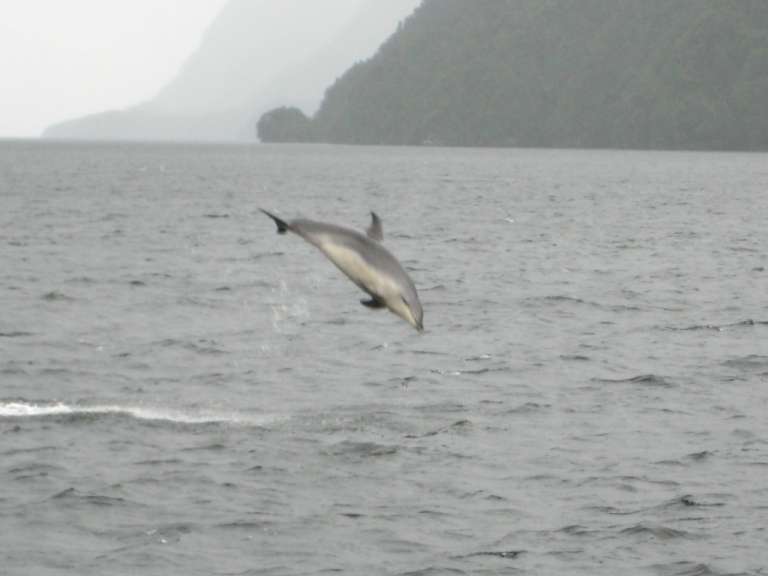 Doubtful Sound