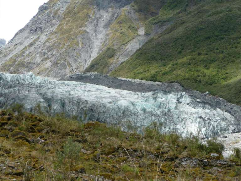 Fox Glacier