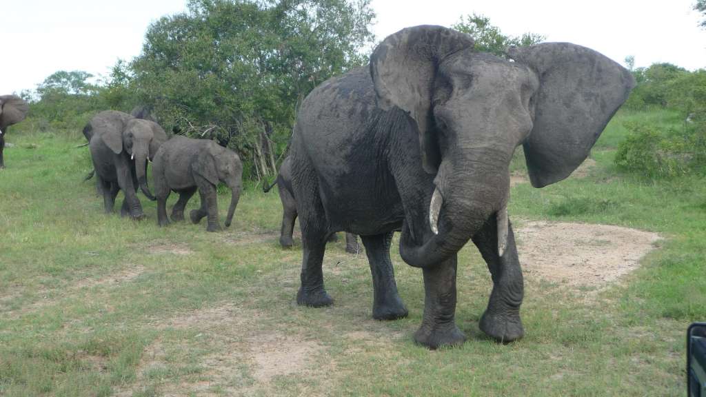Sabie Sand