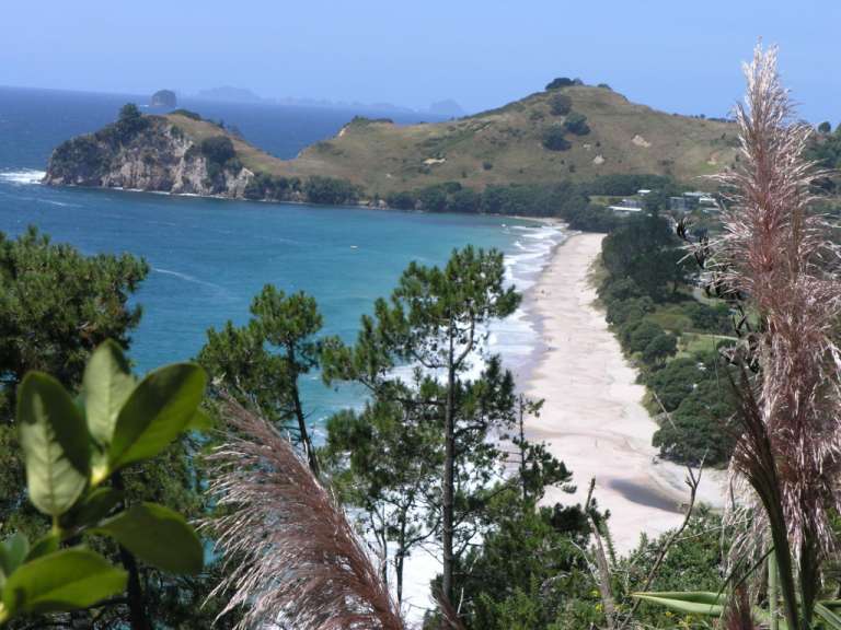 Ein Blick auf einen Strand mit Bäumen im Vordergrund