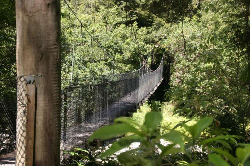 Durch den Urwald zum Monro Beach