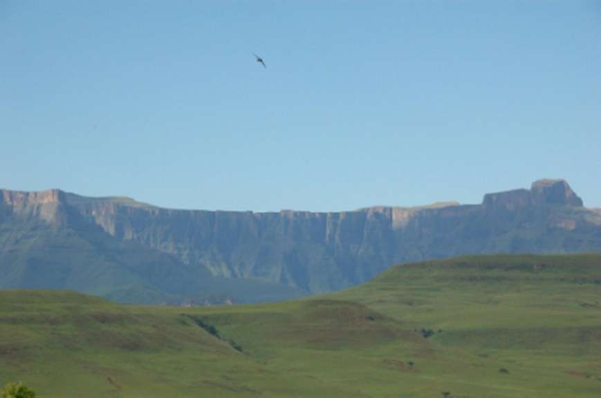 Drakensberge