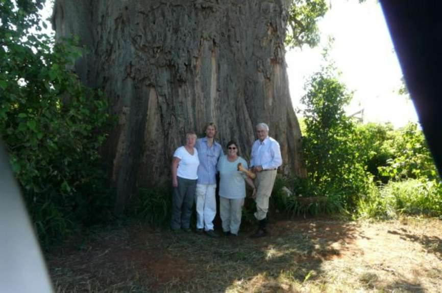 Unterm Baobab