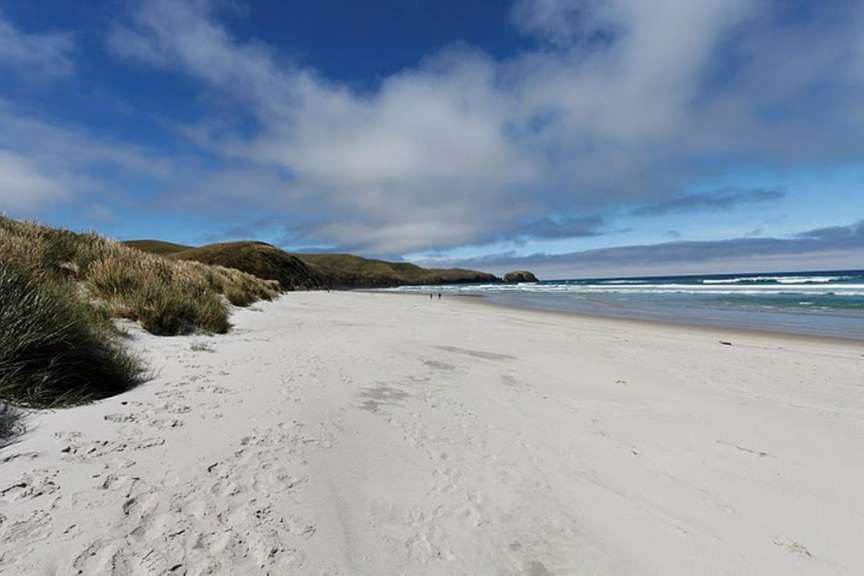 Banks Peninsula; Allan's Beach