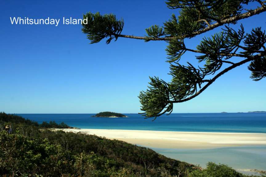Ein Bild von whitsunday island mit einem Baum im Vordergrund