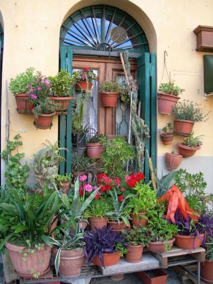 Lucca - Blumenschmuck