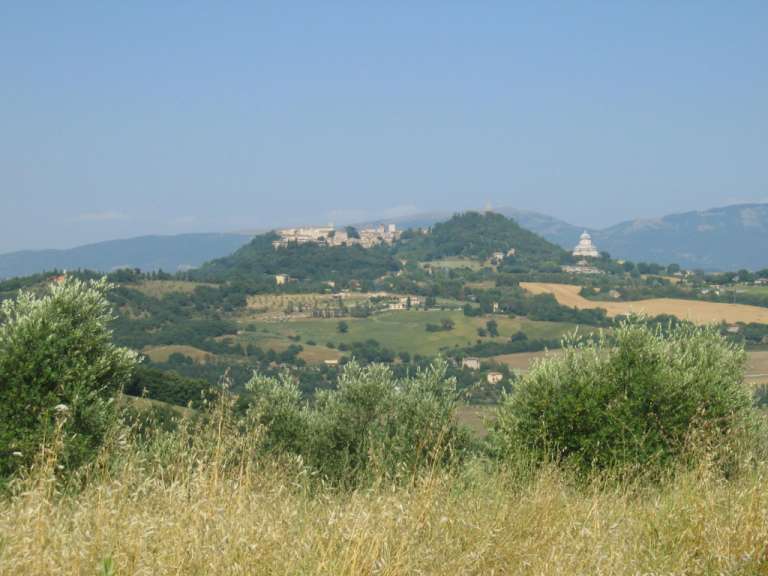 Blick auf Todi
