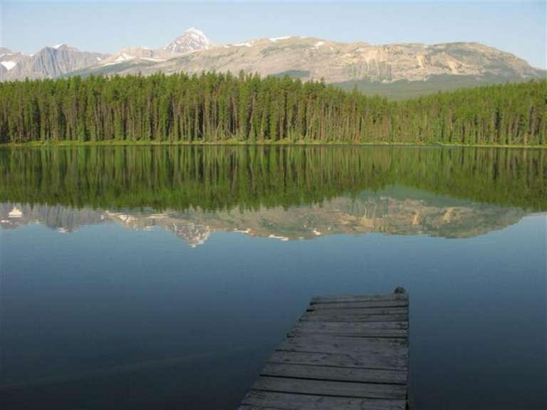 Ein See mit Bäumen und Bergen im Hintergrund