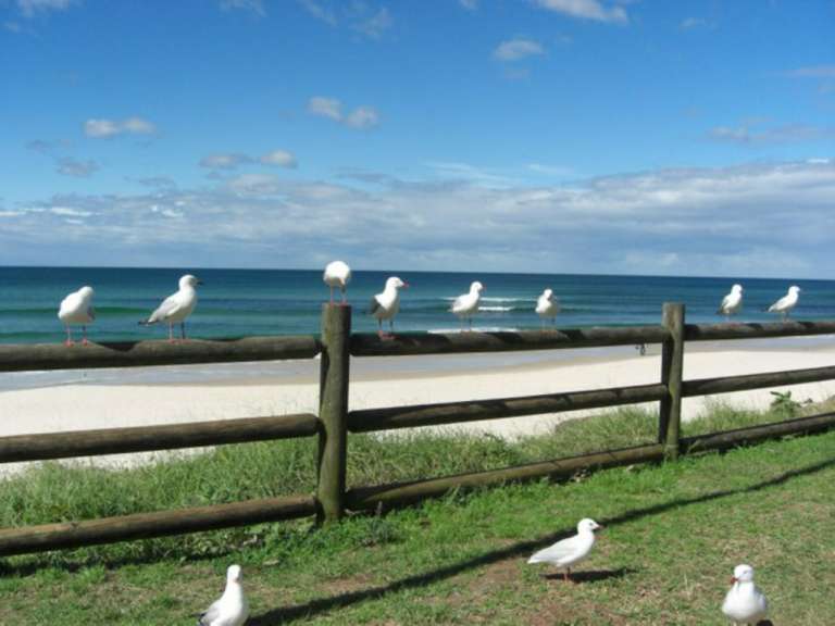 Zuschauer bei Lennox Head