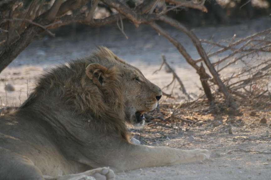 Etosha National Park