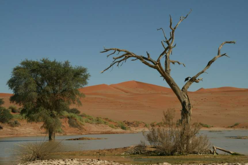 Sossusvlei mit Wasser