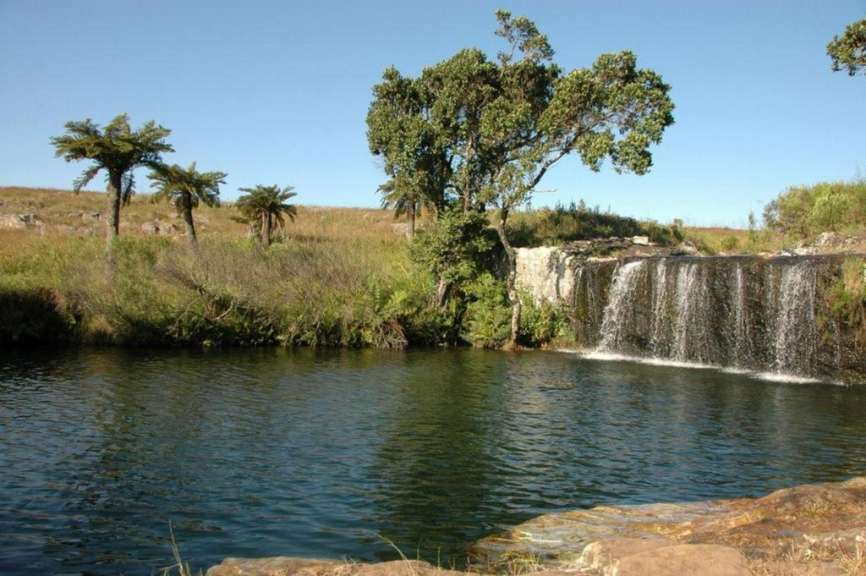 Ein Wasserfall in einem Feld mit Palmen im Hintergrund
