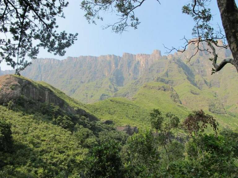 Ein Blick auf eine Bergkette mit Bäumen im Vordergrund