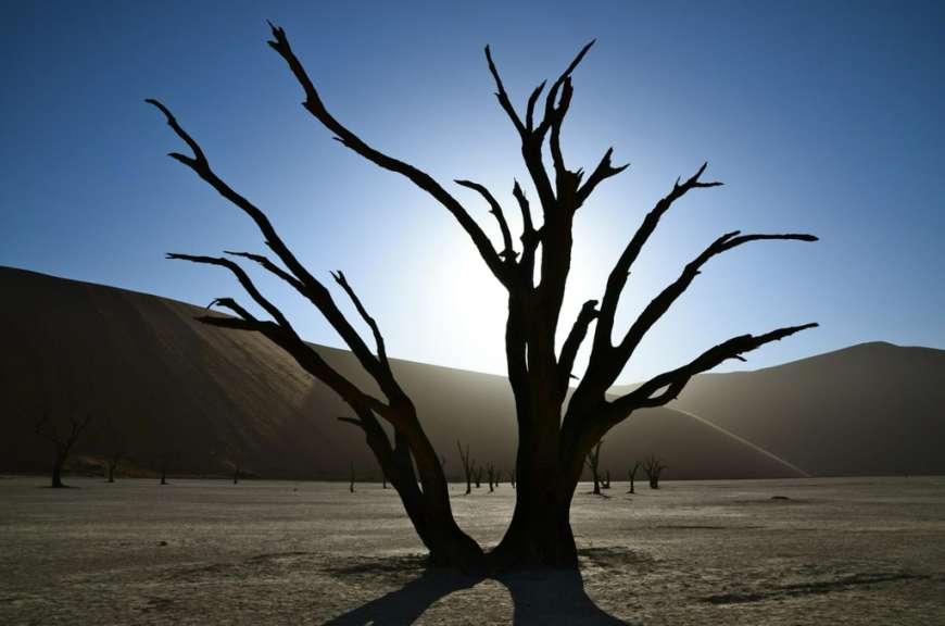 Dead Vlei