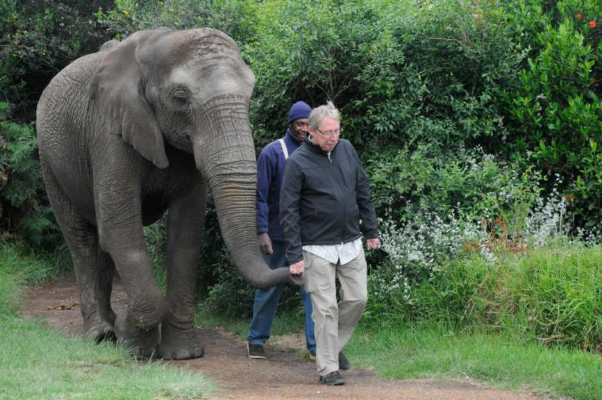 Mein Freund, der Dickhäuter