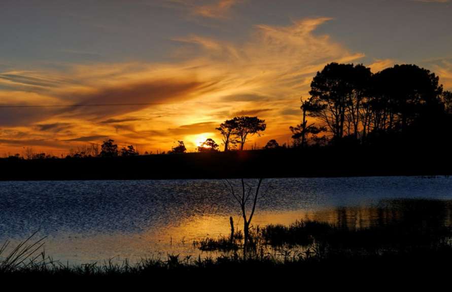 Sunset im Tsitsikamma Nationalpark