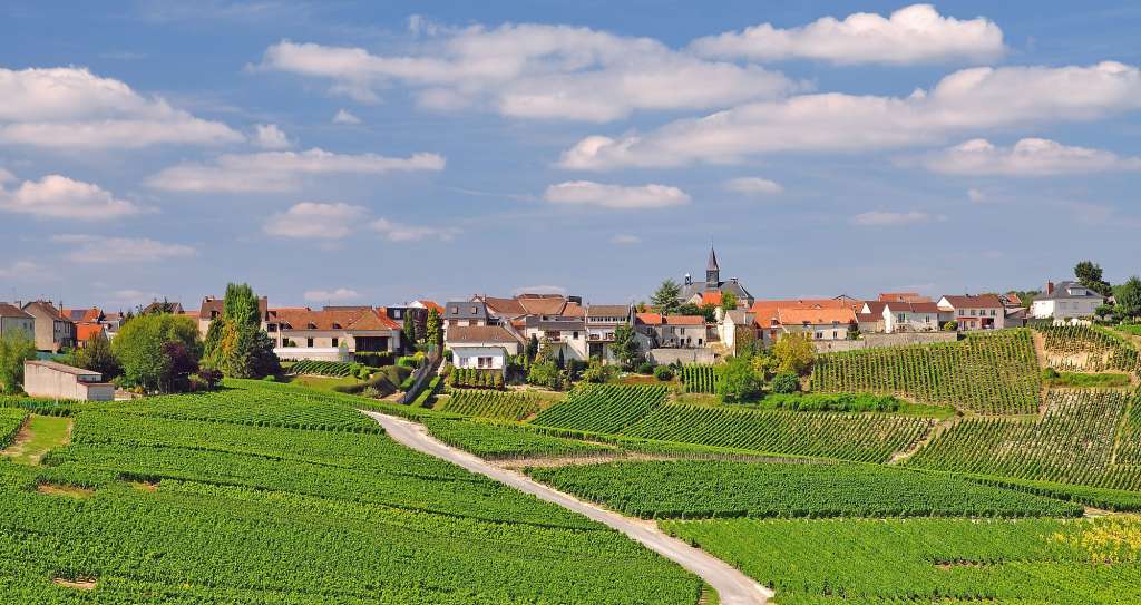 Eine Straße führt durch einen grünen Weinberg mit einem kleinen Dorf im Hintergrund