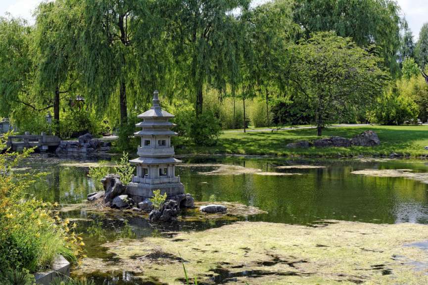 Ein Teich in einem Park mit einem kleinen Steinturm in der Mitte