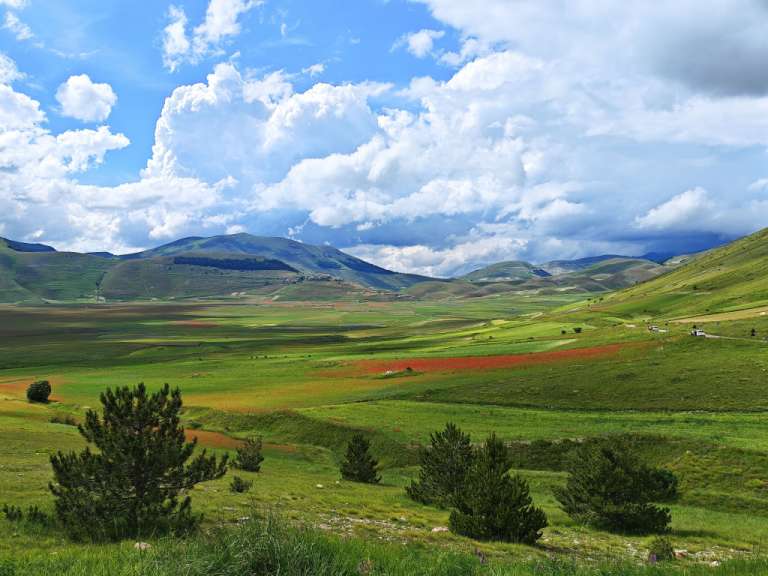 Ein grünes Feld mit Bäumen und Bergen im Hintergrund