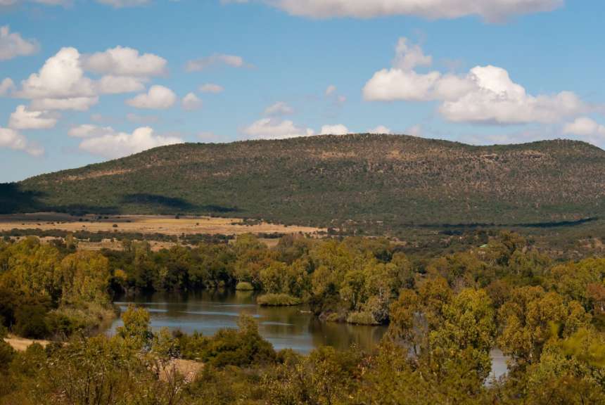 Ein Fluss läuft durch einen Wald mit einem Berg im Hintergrund
