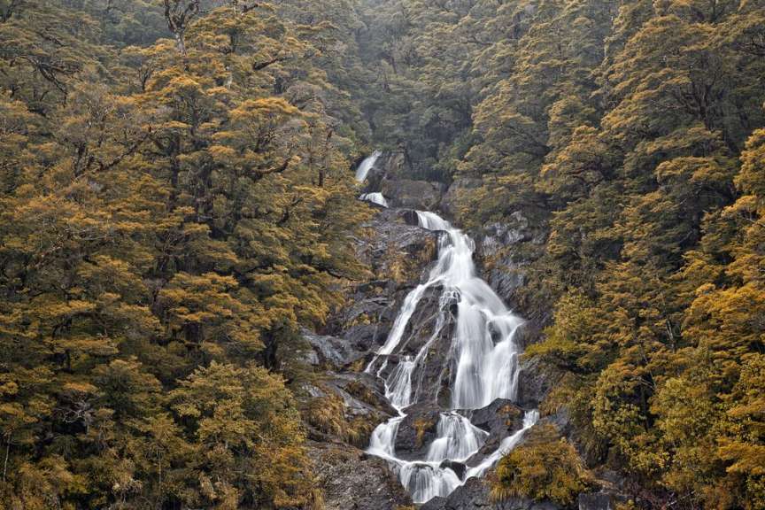 Ein Wasserfall inmitten eines üppigen Waldes