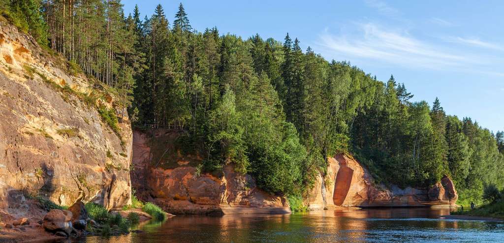 Ein Fluss, der durch einen Wald fließt