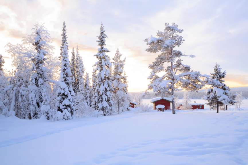 Ein schneebedeckter Wald mit einem roten Haus im Vordergrund