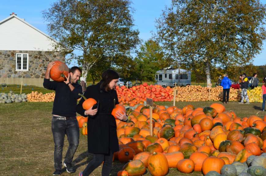 Ein Mann und eine Frau stehen vor einem Haufen Kürbisse