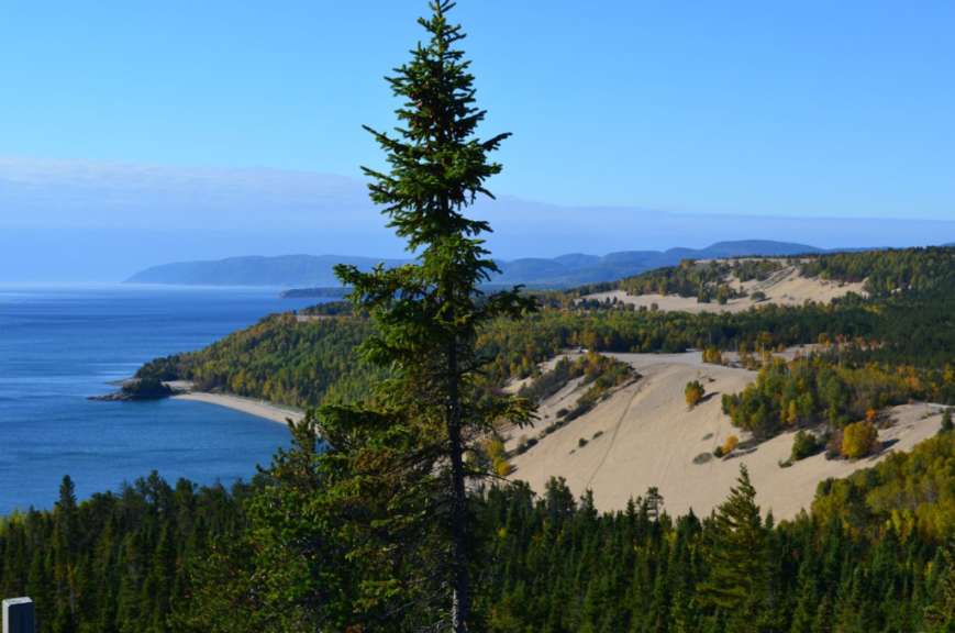 Ein Baum steht auf einem Hügel mit Blick auf den Ozean